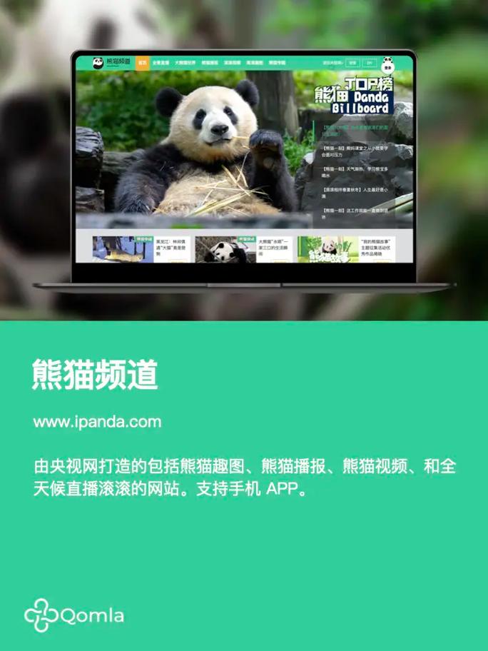 熊猫短视频网站