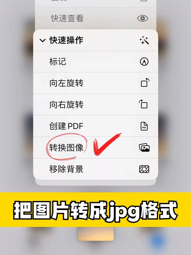 手机格式转换器中文版