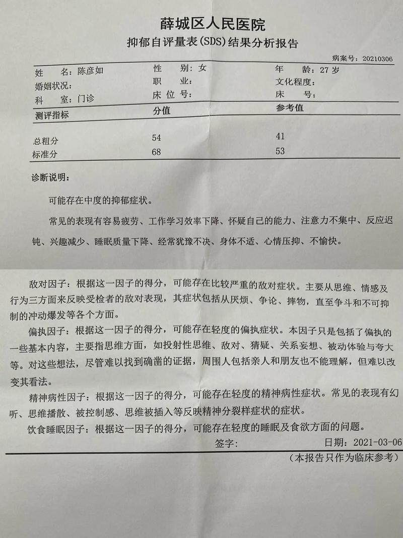 抑郁症报告生成器汉化版