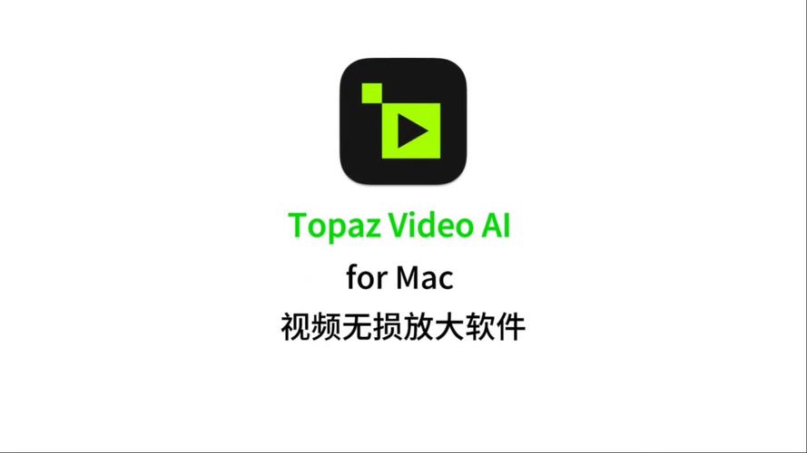 TopazVideo手机版免费版