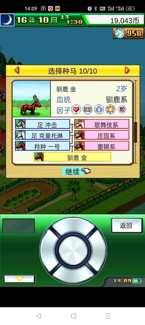 赛马牧场物语内