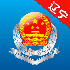 辽宁省电子税务无限流量