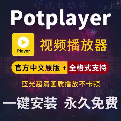万能解码播放器新版本精简版