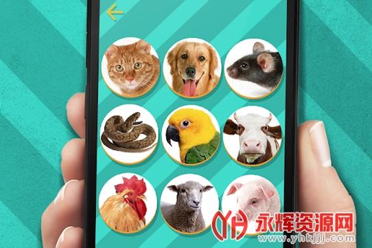 pet tra