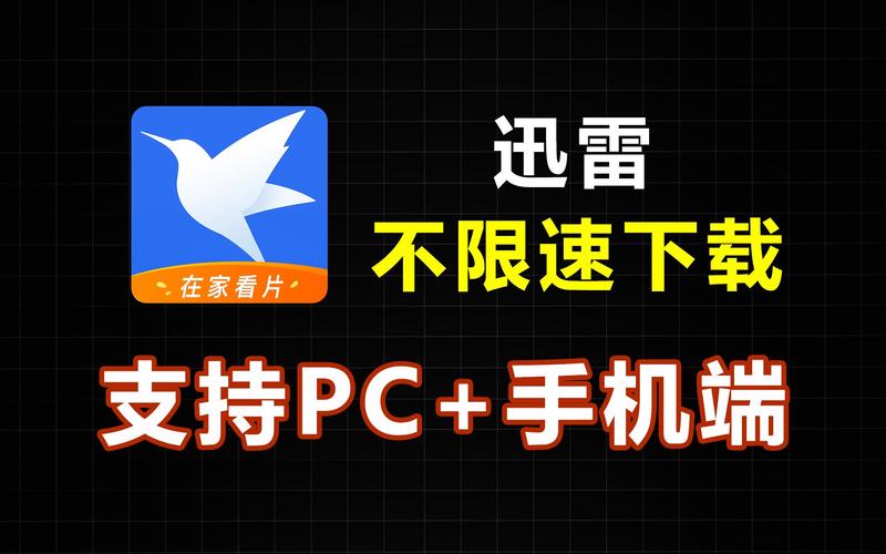 迅雷浏览器破解