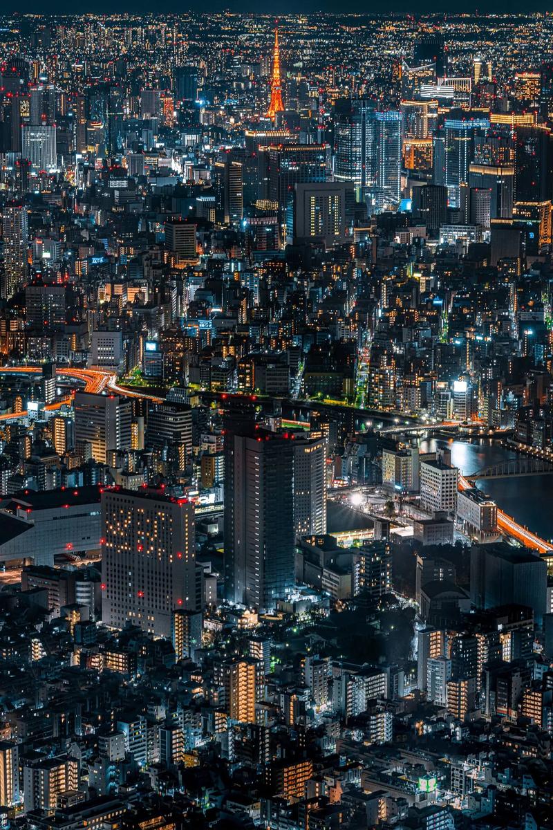 拥挤城市去广告版免安装版