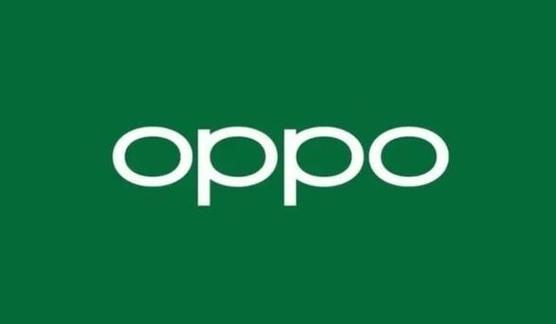 自动连招opp美化版