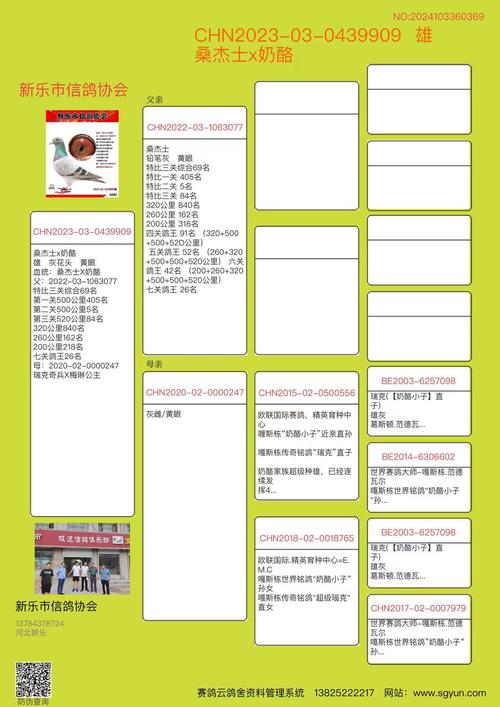 一只奇鸽软件下载免费正版