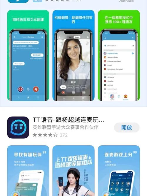 TT语音协议免