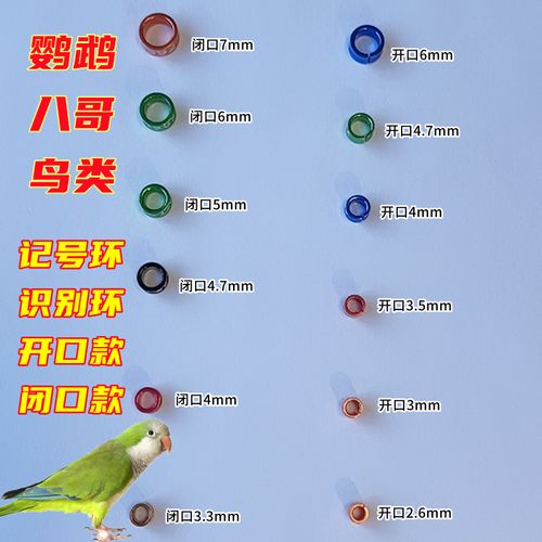 鹦鹉脚环号查询