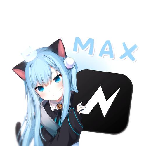 NVMAX战略版