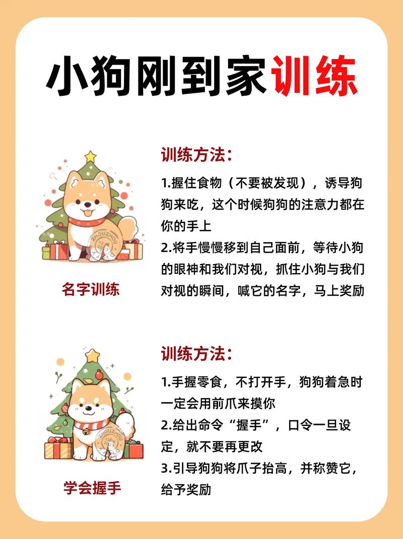 训狗软件