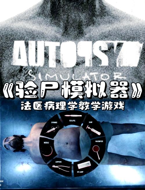 Bodycam手机游戏安装