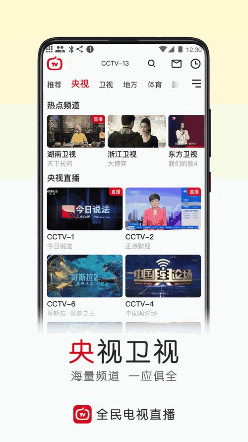 全民电视直播TV版攻略