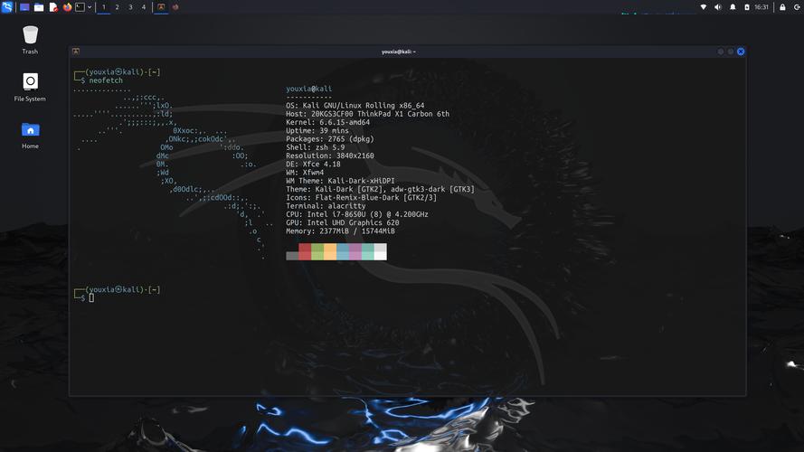 kalilinux