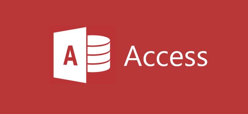 access2010终极版MOD
