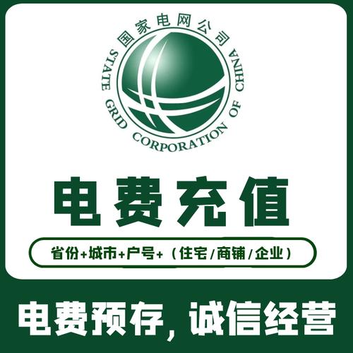 国家电网缴费a