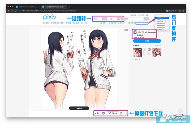 pixiv怎么进