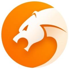 猎豹浏览器老版永久vip无广告