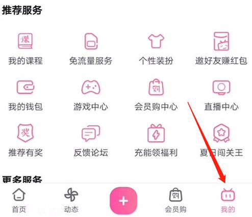 vip会员终极版MOD
