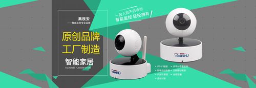 奥视安监控手机版