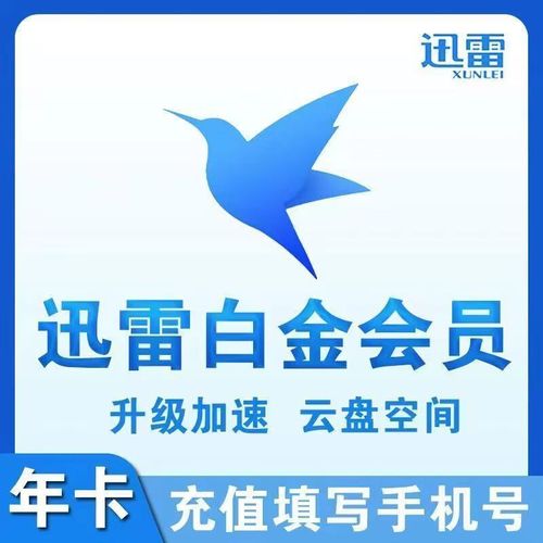 迅雷无限会员2025最新版永久vip版