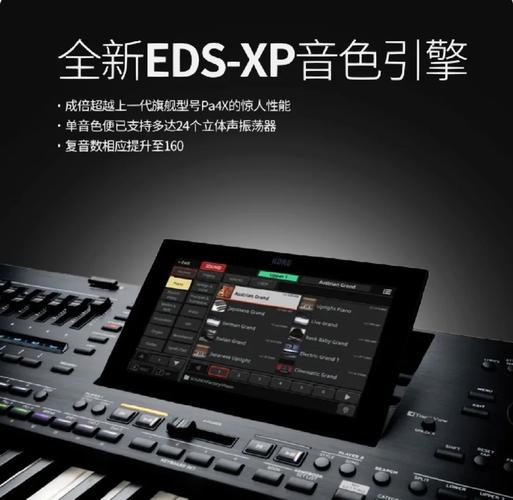 KORG2020汉语版汉化版