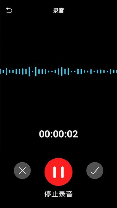 手机录音转换文金手指版