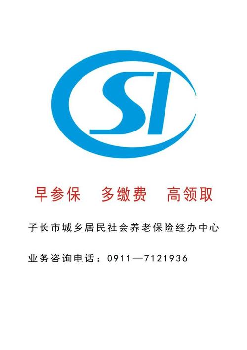 城乡居民养老保汉化版