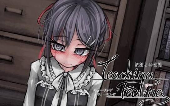 teachingfeelling魔改版专业版