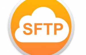 SFTP安卓版旧版本