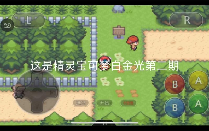 口袋妖怪白金光内置作弊版口袋版