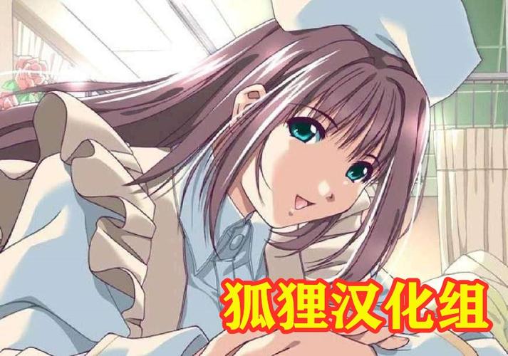 狐狸汉化组官网