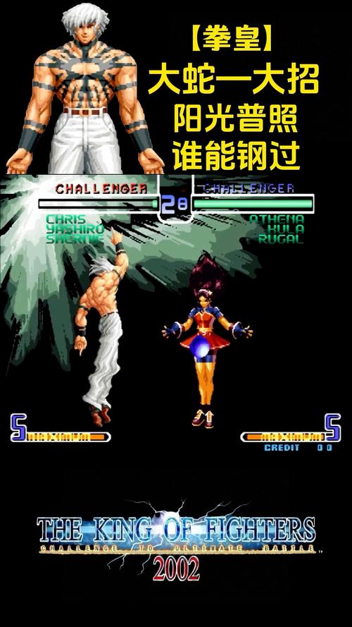 拳皇2002大蛇版