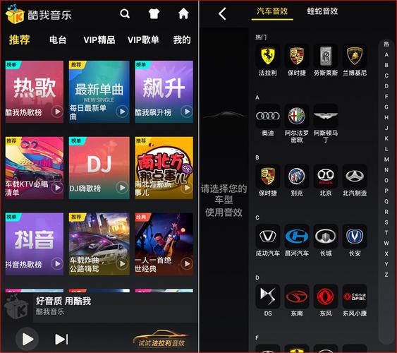 酷我音乐车机共最新版彩色