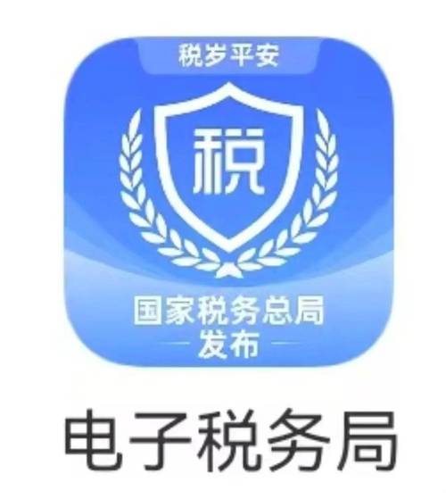 电子税务局ap移动版