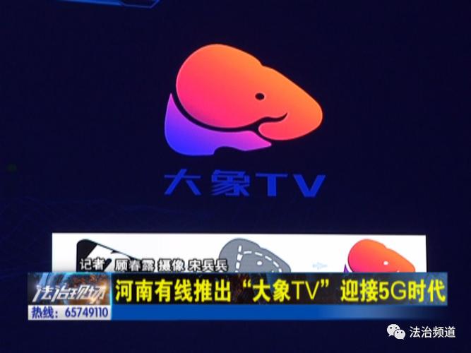 河南广电大象T无死亡