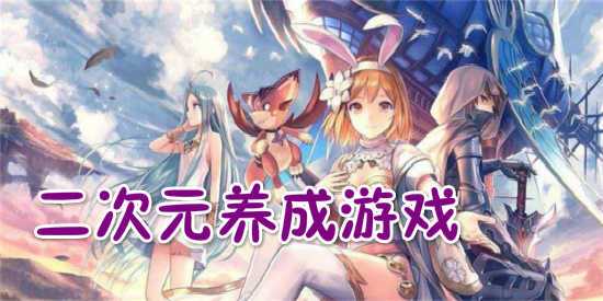 二次元18 养