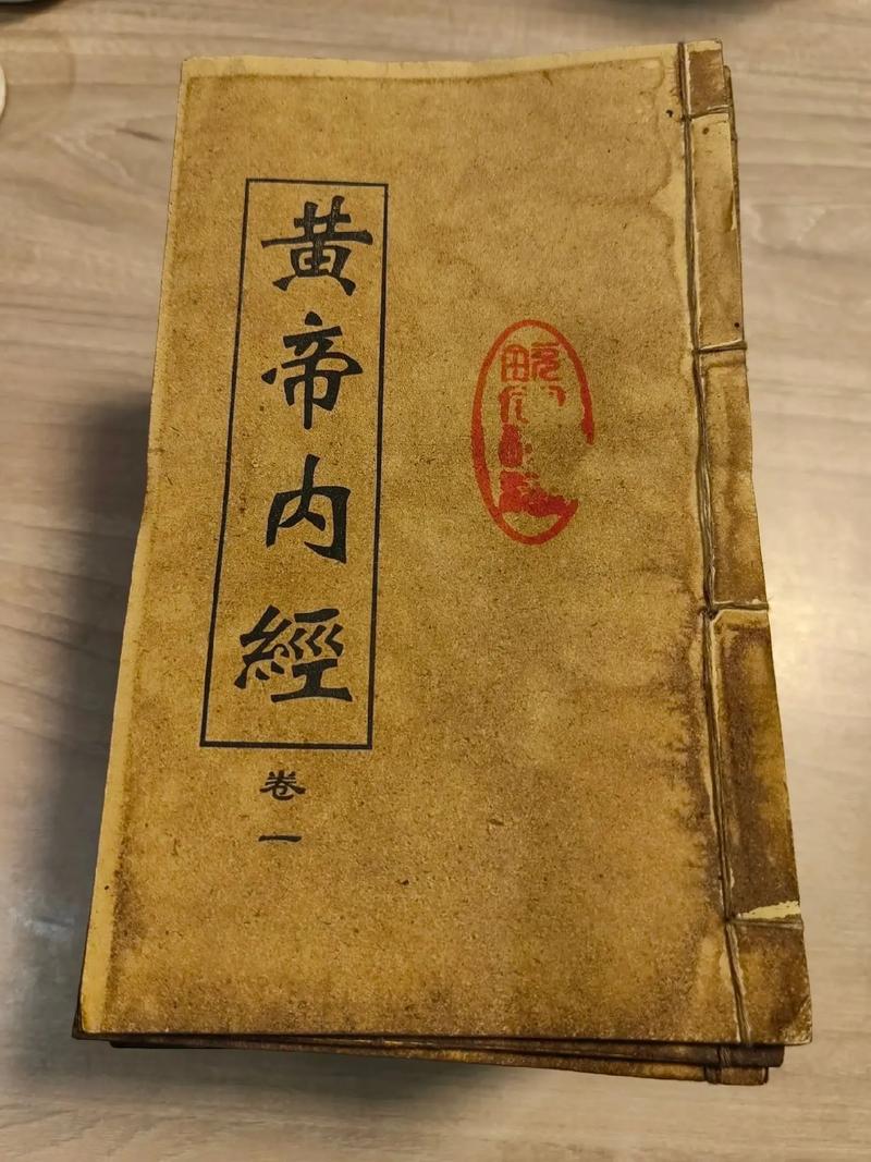 黄帝内经电子版攻略大全新手入门