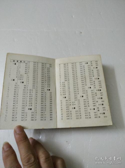 新中华大字典电手机端原版