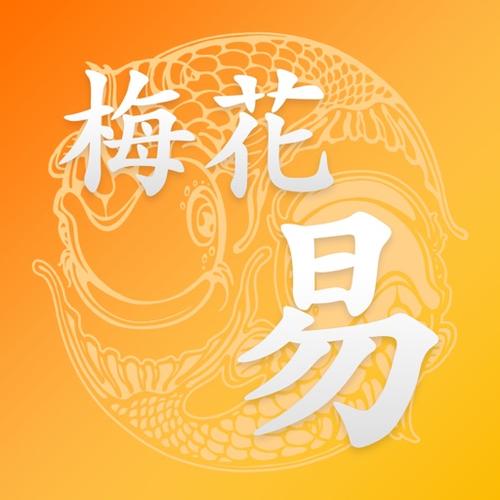 梅花易数笔记无删减福利版