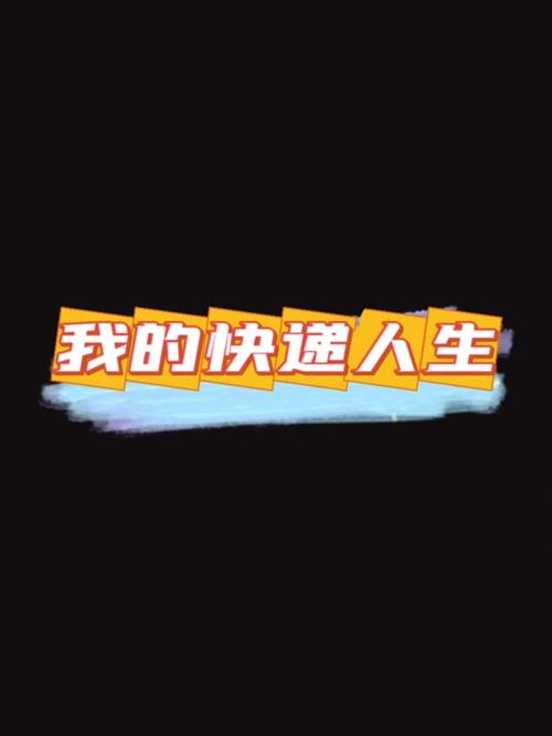 我的快递人生