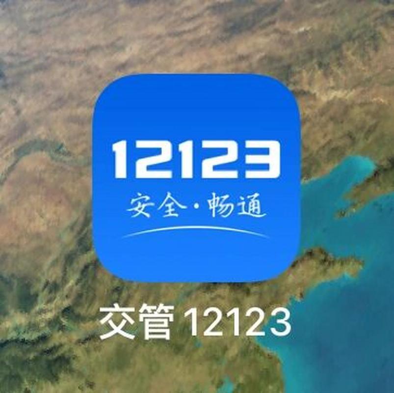 虚拟生成交管12123中文版