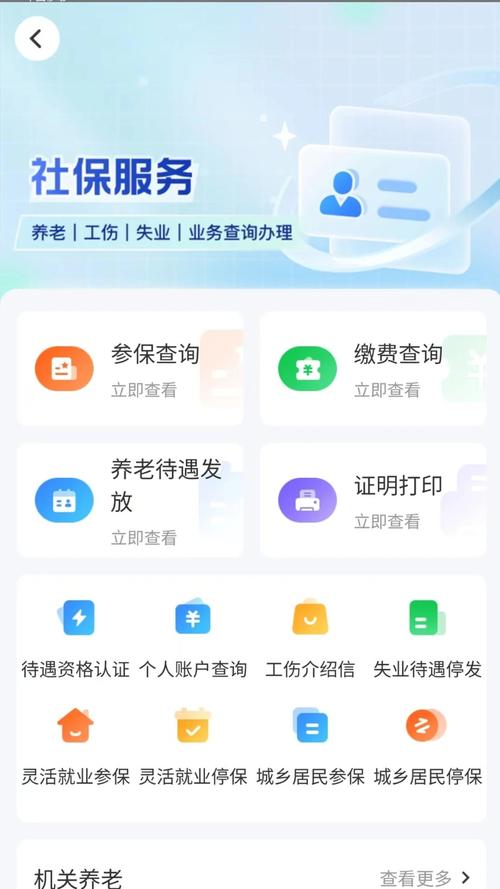 湖南智慧人社养老认证