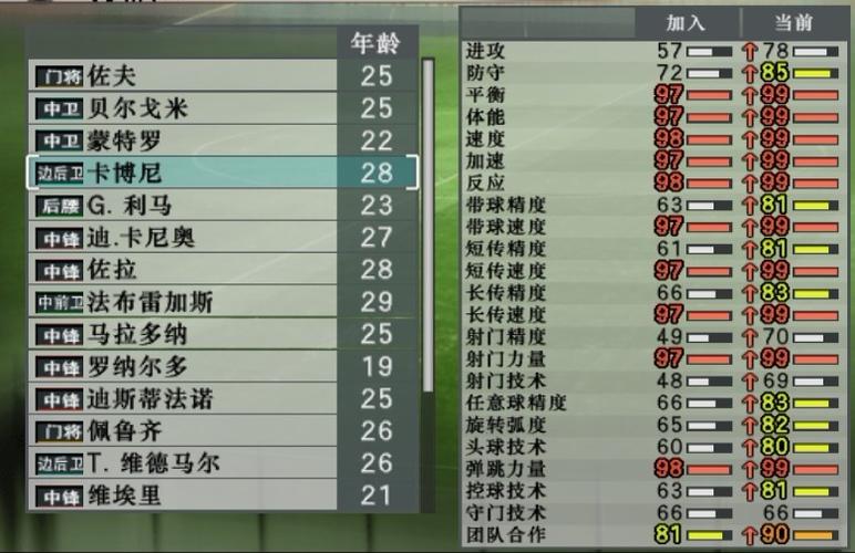 实况8中超风云妖人