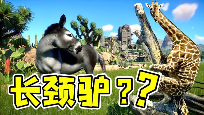 狒狒动物园之星