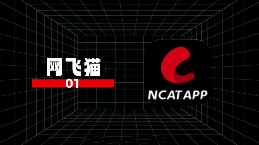 网飞猫纯净tv版
