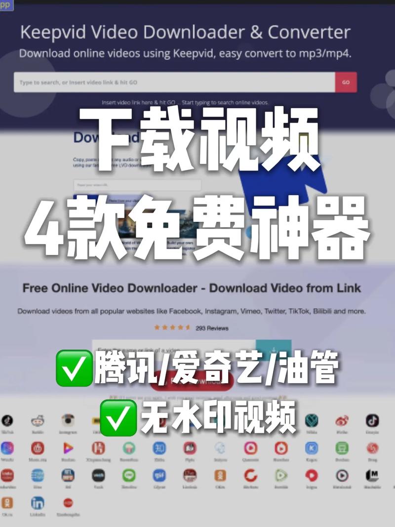 v片视频