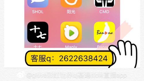 同志直播app极速版2023
