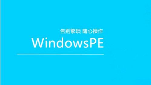 微PE官方网站老版本